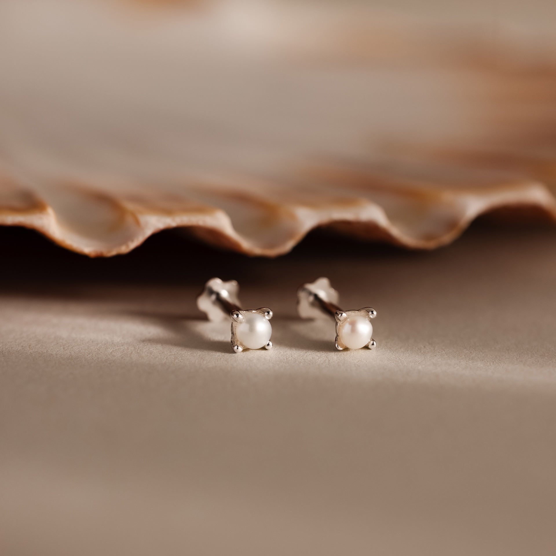 Baby Venus Flachrücken Ohrstecker – Luftli