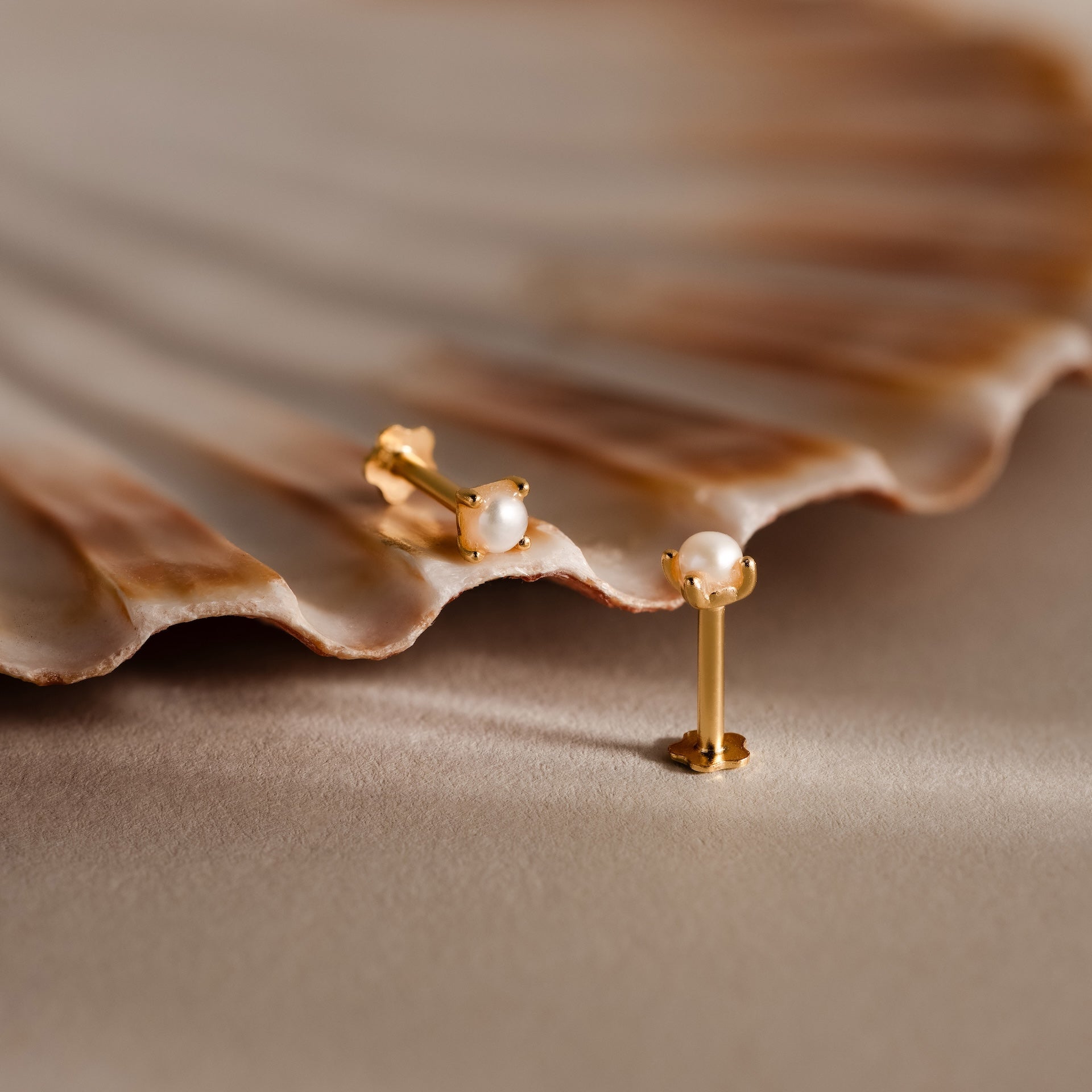 Baby Venus Flachrücken Ohrstecker – Luftli