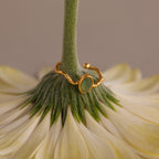 Ring – 5