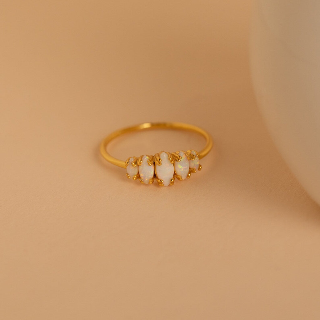 Ring – 3