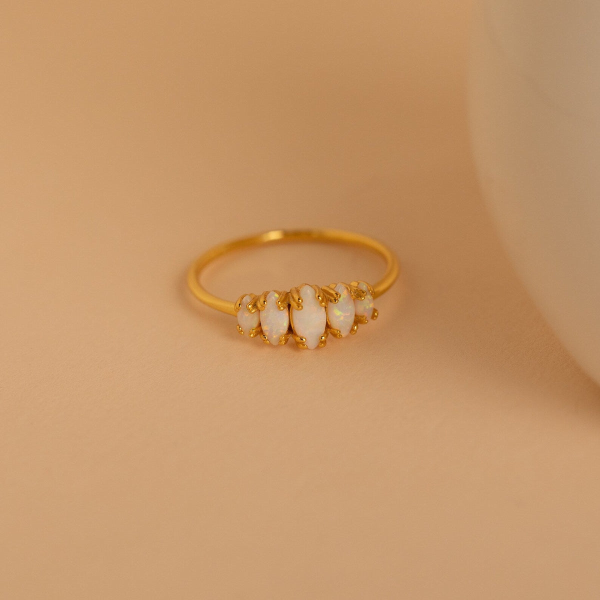 Ring – 3